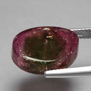 Tourmaline multicolore naturelle forme fantaisie, 10,19 ct, transparent