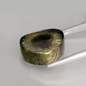Tourmaline multicolore naturelle forme fantaisie, 9,19 ct, transparent