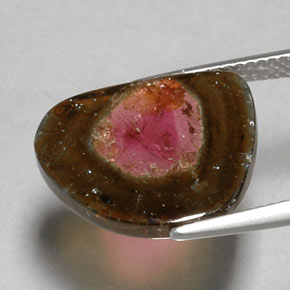 Tourmaline multicolore naturelle transparent, 6,79 ct, transparent / translucide