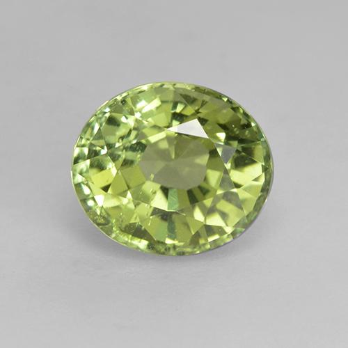 Tourmaline vert naturelle coupe ovale, 1,27 ct, VS