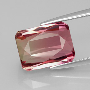 Tourmaline bicolore naturelle taille émeraude, 5,54 ct, IF