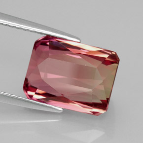 Tourmaline bicolore naturelle taille émeraude, 5,54 ct, IF