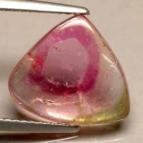 Tourmaline bicolore naturelle transparent, 3,30 ct, transparent / translucide