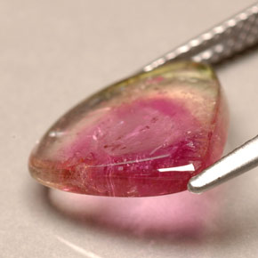 Tourmaline bicolore naturelle transparent, 3,30 ct, transparent / translucide
