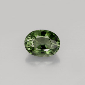 Tourmaline vert naturelle coupe ovale, 1,01 ct, VS
