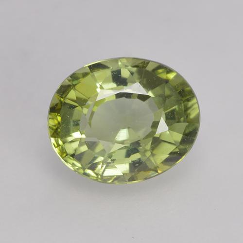 Tourmaline vert naturelle coupe ovale, 0,79 ct, VVS