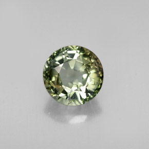 Tourmaline multicolore naturelle coupe roude, 1,13 ct, VS