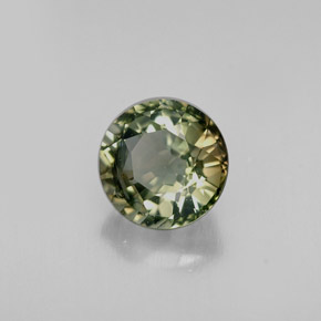 Tourmaline multicolore naturelle coupe roude, 1,13 ct, VS