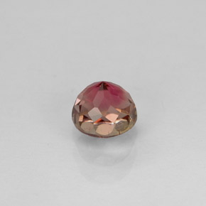 Tourmaline multicolore naturelle coupe roude, 0,77 ct, VVS
