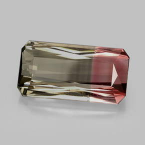 Tourmaline bicolore naturelle taille émeraude, 12,56 ct, VVS-VS