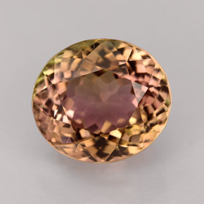 Tourmaline multicolore naturelle coupe ovale, 5,09 ct, IF