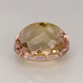 Tourmaline multicolore naturelle coupe ovale, 3,91 ct, IF