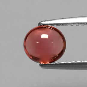 Tourmaline rouge naturelle coupe ovale, 1,00 ct, transparent