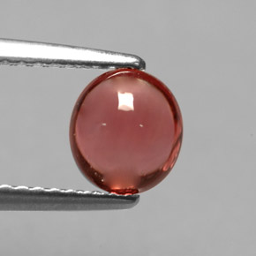Tourmaline rouge naturelle coupe ovale, 1,00 ct, transparent