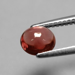 Tourmaline rouge naturelle coupe ovale, 1,00 ct, transparent