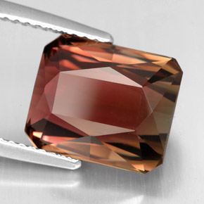 Tourmaline bicolore naturelle taille émeraude, 6,97 ct, IF