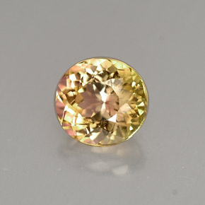 Tourmaline multicolore naturelle coupe ovale, 1,17 ct, VVS-VS
