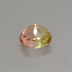 Tourmaline multicolore naturelle coupe ovale, 1,17 ct, VVS-VS
