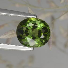 Tourmaline vert naturelle coupe ovale, 1,50 ct, VVS-VS