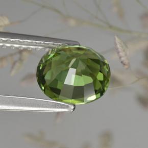 Tourmaline vert naturelle coupe ovale, 1,50 ct, VVS-VS
