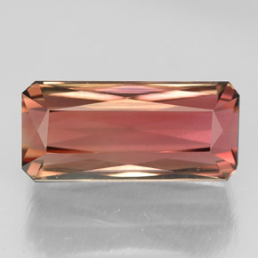 Tourmaline multicolore naturelle taille émeraude, 5,55 ct, IF
