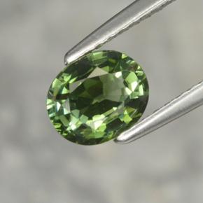 Tourmaline vert naturelle coupe ovale, 1,02 ct, VVS