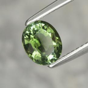 Tourmaline vert naturelle coupe ovale, 1,02 ct, VVS