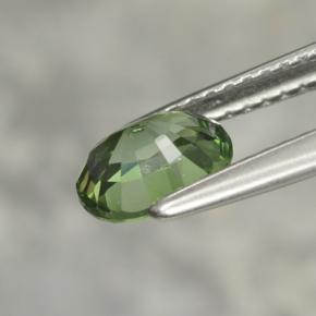 Tourmaline vert naturelle coupe ovale, 1,02 ct, VVS