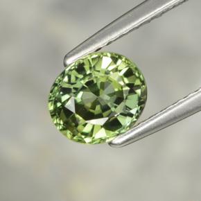Tourmaline vert naturelle coupe ovale, 1,22 ct, VVS-VS