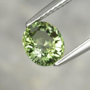 Tourmaline vert naturelle coupe ovale, 1,22 ct, VVS-VS