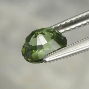 Tourmaline vert naturelle coupe ovale, 1,22 ct, VVS-VS