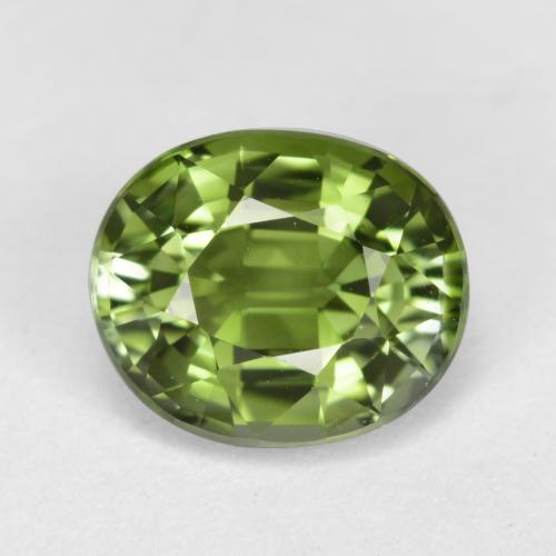 Tourmaline vert naturelle coupe ovale, 1,27 ct, VVS