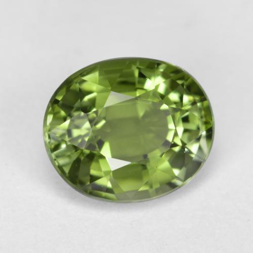 Tourmaline vert naturelle coupe ovale, 1,27 ct, VVS