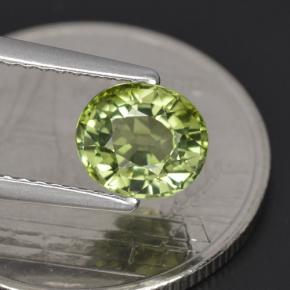 Tourmaline vert naturelle coupe ovale, 1,23 ct, VVS