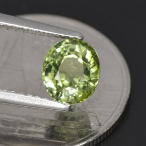 Tourmaline vert naturelle coupe ovale, 1,23 ct, VVS