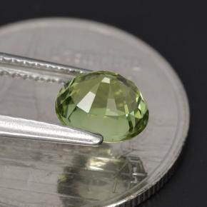 Tourmaline vert naturelle coupe ovale, 1,23 ct, VVS