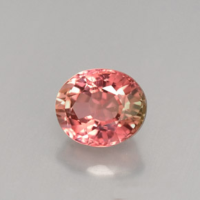 Tourmaline multicolore naturelle coupe ovale, 1,18 ct, VS