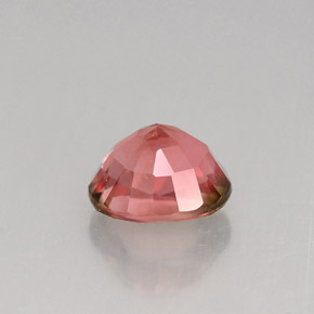 Tourmaline multicolore naturelle coupe ovale, 1,18 ct, VS