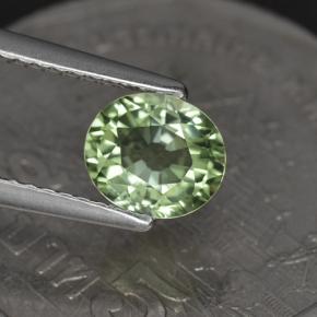 Tourmaline vert naturelle coupe ovale, 1,00 ct, VVS