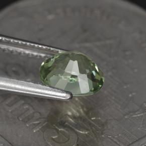 Tourmaline vert naturelle coupe ovale, 1,00 ct, VVS