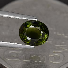 Tourmaline vert naturelle coupe ovale, 1,23 ct, VVS