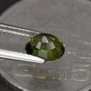 Tourmaline vert naturelle coupe ovale, 1,23 ct, VVS