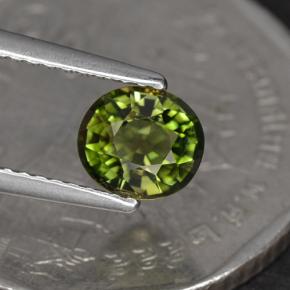 Tourmaline vert naturelle coupe ovale, 1,05 ct, VS