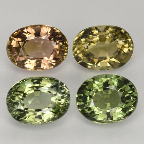 Achetez naturel 2,63ct multicolore tourmaline gems, coupe ovale, en provenance mozambique chez gemselect. en stock, livraison internationale!