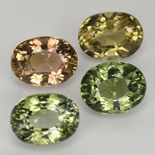 Achetez naturel 2,63ct multicolore tourmaline gems, coupe ovale, en provenance mozambique chez gemselect. en stock, livraison internationale!