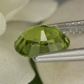 Tourmaline vert naturelle coupe ovale, 1,28 ct, VVS-VS