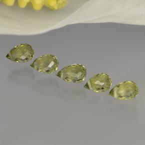 Achetez naturel ct vert tourmaline gems, briolette, en provenance mozambique chez gemselect. en stock, livraison internationale!