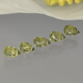 Achetez naturel ct vert tourmaline gems, briolette, en provenance mozambique chez gemselect. en stock, livraison internationale!
