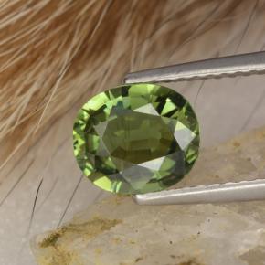 Tourmaline vert naturelle coupe ovale, 1,20 ct, VVS