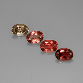 Achetez naturel ct multicolore tourmaline gems, coupe ovale, en provenance nigeria chez gemselect. en stock, livraison internationale!